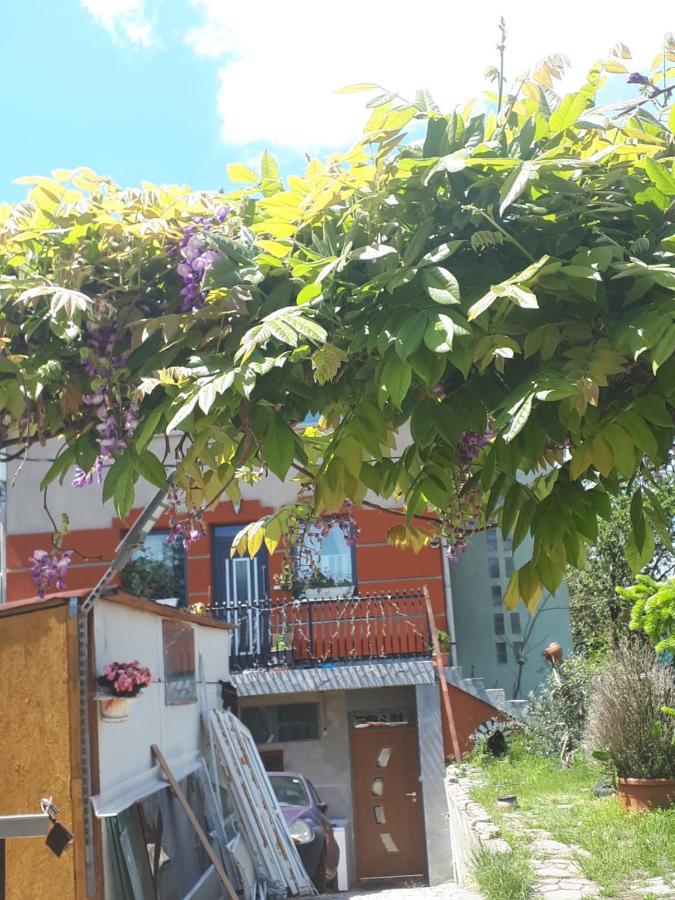 Sárkány Lak Diosd Exterior foto